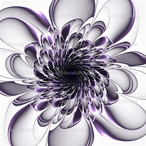 Beautiful Purple Flower On White Background Stock Photo By ©velirina