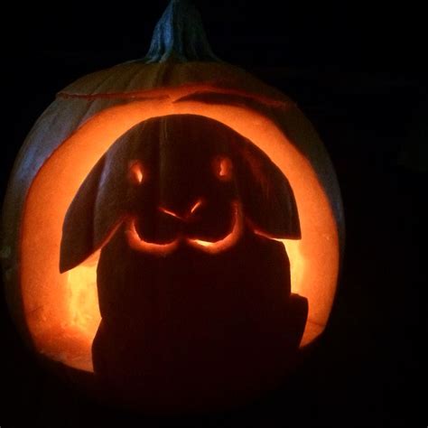 Bun O Lanterns Bunny Pumpkins For Halloween Artofit