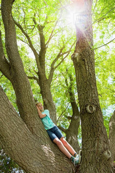 Caucasian Girl Climbing Tree Stock Photo Dissolve