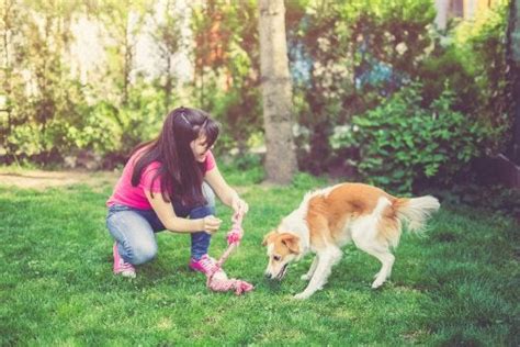 Los Sorprendentes Beneficios De Pasear Al Perro Cada Día Sección De Medicina Salud Y Bienestar