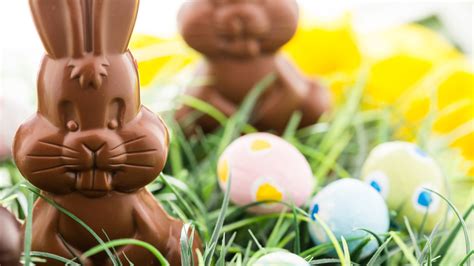 Heres Where Americas Chocolate Easter Bunny Tradition Might Have Come From