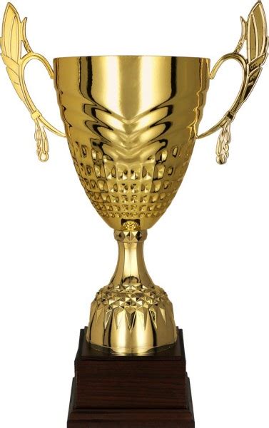 Italian serie a top scorers. 8027 Serie Pokal