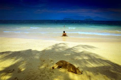 Bildet Strand hav kyst sand horisont solnedgang sollys shore palm blå turisme