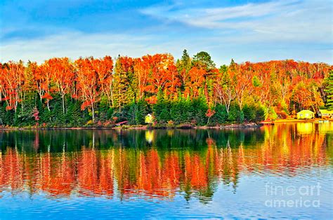 Fall Forest Reflections By Elena Elisseeva Autumn Scenery Nature