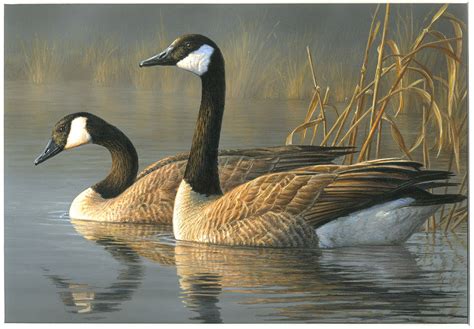 Decoys And Wildlife Gallery Wildlife Art Paintings