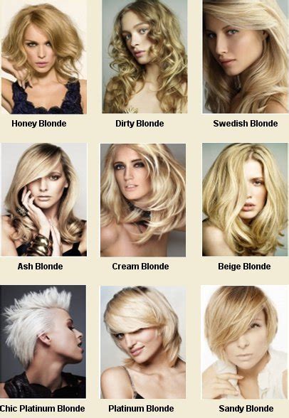 Top 48 Image Types Of Blonde Hair Vn