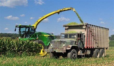 Harvesting Corn Silage At Optimal Moisture Levels Dairy Business News