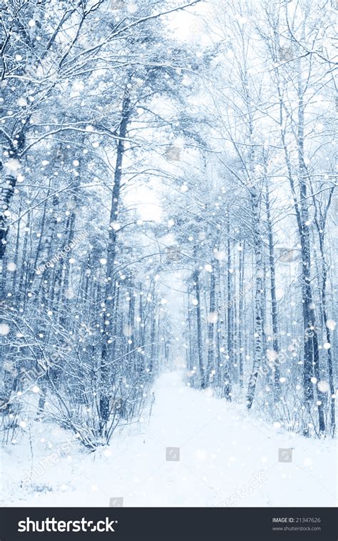 Beautiful Winter Snowy Landscape Stock Photo 21347626