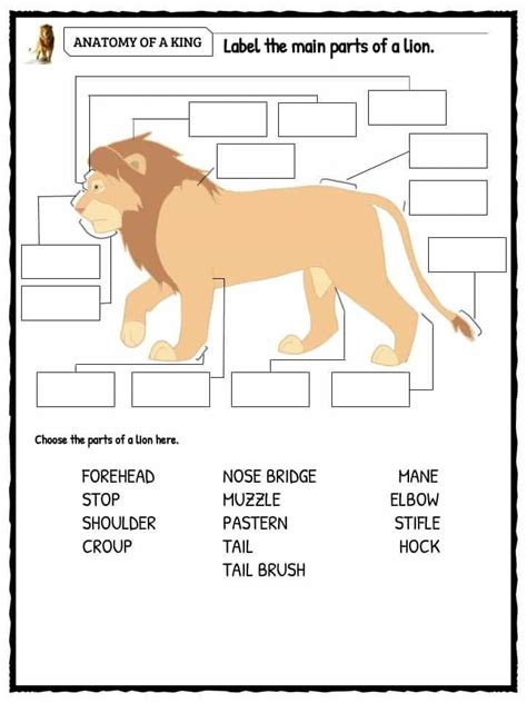 2nd Grade Lion Worksheet