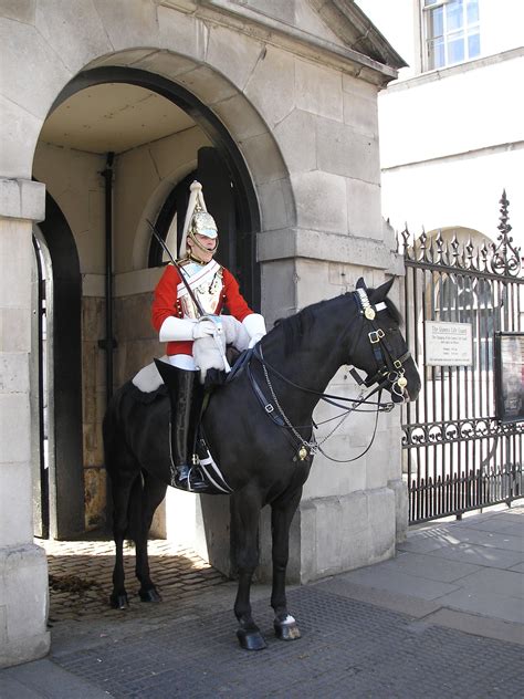 Filehorse Guards London April 2006 026 Wikipedia