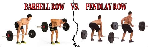 Want A Massive Chiseled Back Our Precise Step By Step Row Exercises Will Get You Wings FAST