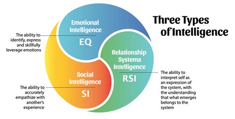 Organization And Relationship Systems At Work
