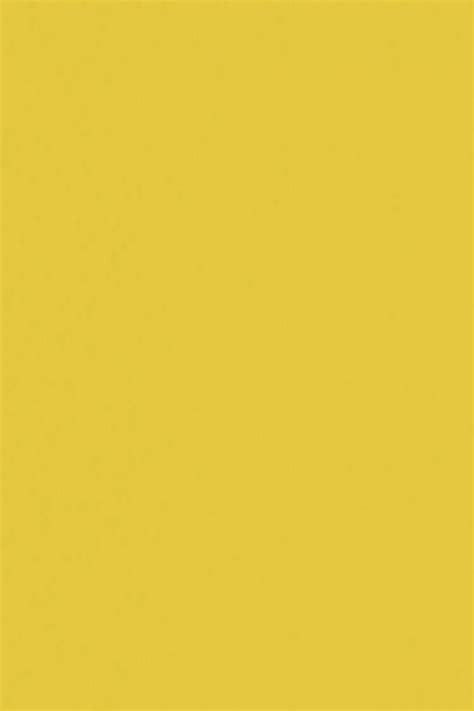 1063 Light Yellow Virgolam