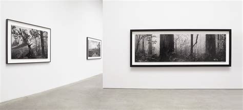 hiroshi sugimoto pace gallery