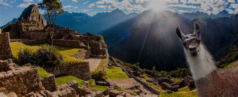Contacto Andean Explorers Cusco