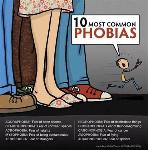 10 Most Common Phobias Interesting Facts About Phobias 24 Infographics