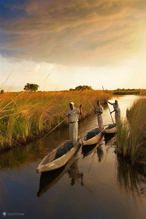 Delta Do Rio Okavango Nem Todos Os Rios Chegam Ao Mar Botswana