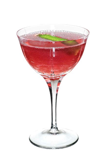 Gin Berry Cocktail Recipe
