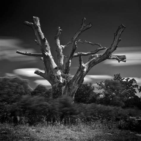 Interview With Black And White Photographer Bill Allen Monovisions