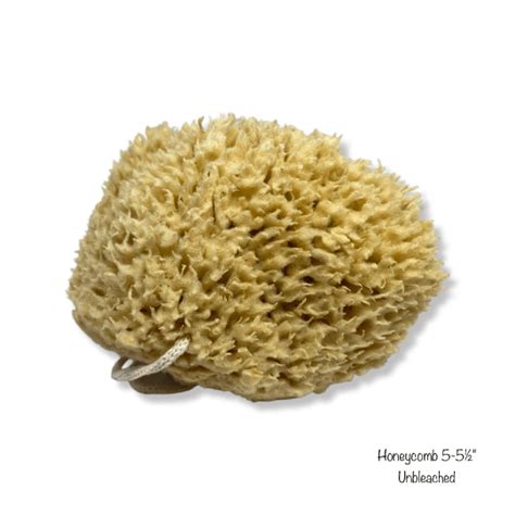 Honeycomb Sea Sponge Natural Purity