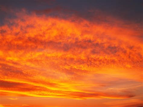 Orange Clouds Wallpaper · Free Stock Photo