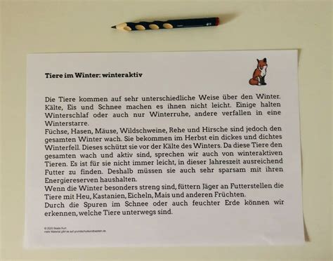 Da tiere im allgemeinen in der grundschulzeit bei den meisten kindern eine bedeutende rolle spielen, ist es anzunehmen, dass das interesse der schülerinnen und schüler bei der konfrontation mit einem sachtext über das rote riesenkänguru in australien geweckt wird. Tiere im Winter: Sachtext IV - Winteraktiv in 2020 (mit ...