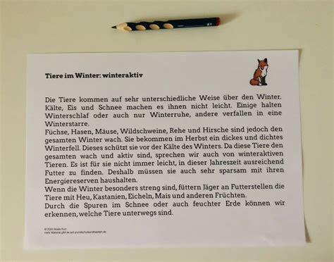 Du willst einen kurzen englischen sachtext verstehen? Tiere im Winter: Sachtext IV - Winteraktiv in 2020 (mit ...