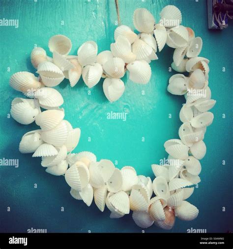 Heart Made Shells Heart Shape Hi Res Stock Photography And Images Alamy