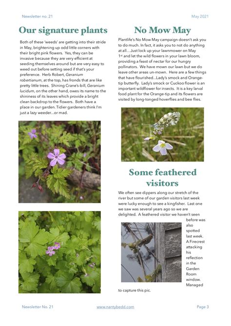 May Newsletter 2021 Nant Y Bedd