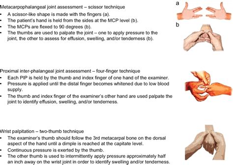 Standardized Musculoskeletal Examination Procedures Note The