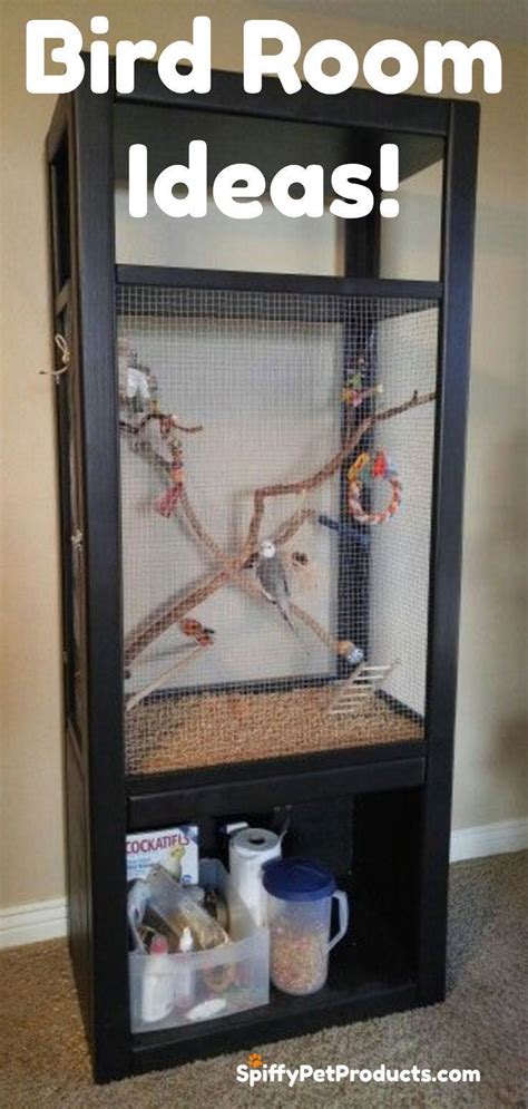Parakeets Cage Ideas Birdwatching In 2020 Pet Bird Cage Cockatiel