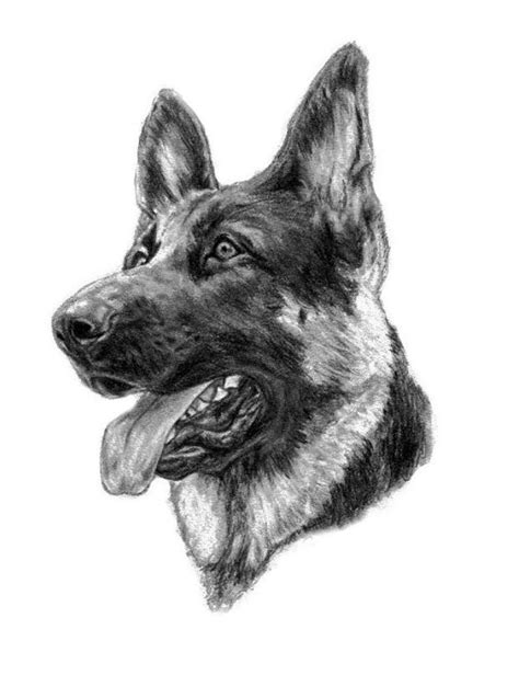German Shepherd Art Print 8x10 Dog Custom Pet Portrait Etsy