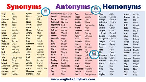 Synonyms Antonyms Homonyms List In English Synonyms And Antonyms