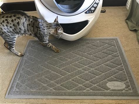 Pawkin Cat Litter Mat Review Kitty Loaf