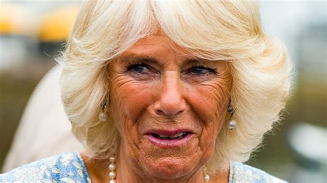 The Surprising Thing Camilla Parker Bowles Was Just Photographed Wearing