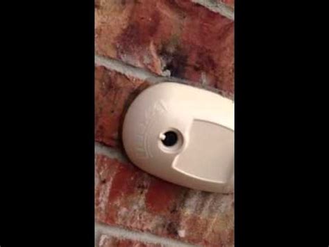 It specializes in treatments against common pests like rodents and insects, but it also offers other services, including insulation and moisture control. TAEXX Built-In Pest Control - YouTube