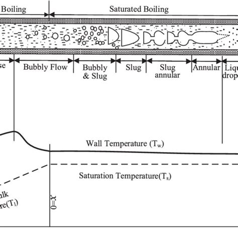 Various Flow Regimes And Temperature Variation During Boiling In A Tube