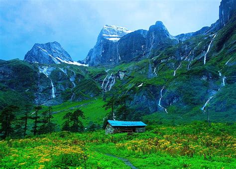 Hd Wallpaper Meadows 4k 5k Himalayas Mountains Valley Of Flowers