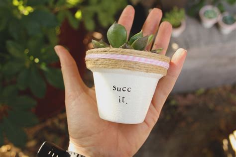 25 Best Cactus Aesthetic Ideas Decoratoo Succulent Pots Plant Puns
