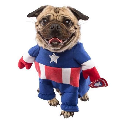 Captain America Dog Costume Captain America Costume Pugs In Costume