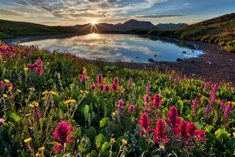 Jhp Blog January 10 2017 Sunrise Over Alpine Wildflowers San Juan