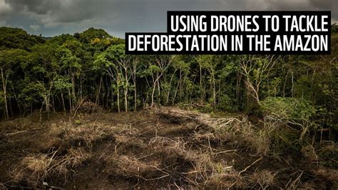 Using Drones To Tackle Deforestation Wwf Youtube