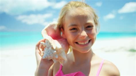 Conch Shells For Sale Stock Videos And Royalty Free Footage Istock