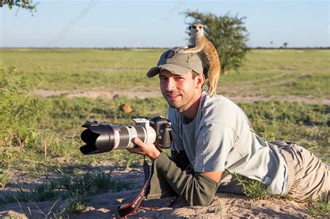 Meerkat Using Photographer As A Lookout Post Stock Image C0421489