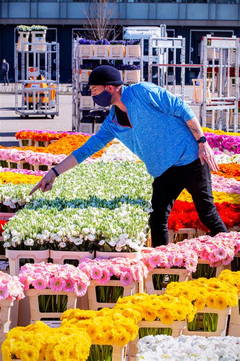 Give these flowers to someone who needs hope in their lives. Flower Council launches 'Let hope bloom' | Flower Council