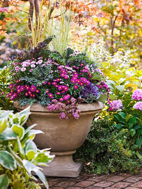 Set A Color Theme With Mums Fall Container Gardens Fall Containers