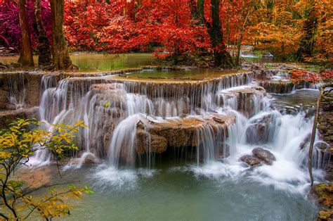 Autumn Forest Stream Wallpaper Nature And Landscape