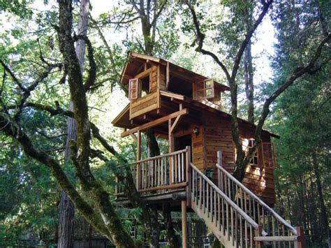 Les Cabanes Dans Les Arbres Architecture Fantastique Au Coeur De La Forêt Archzinefr