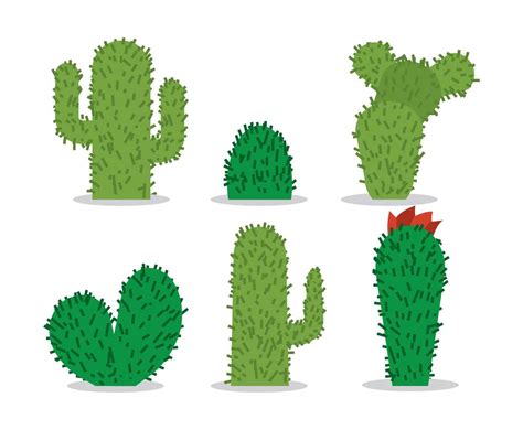 Cactus Vector Vector Art And Graphics