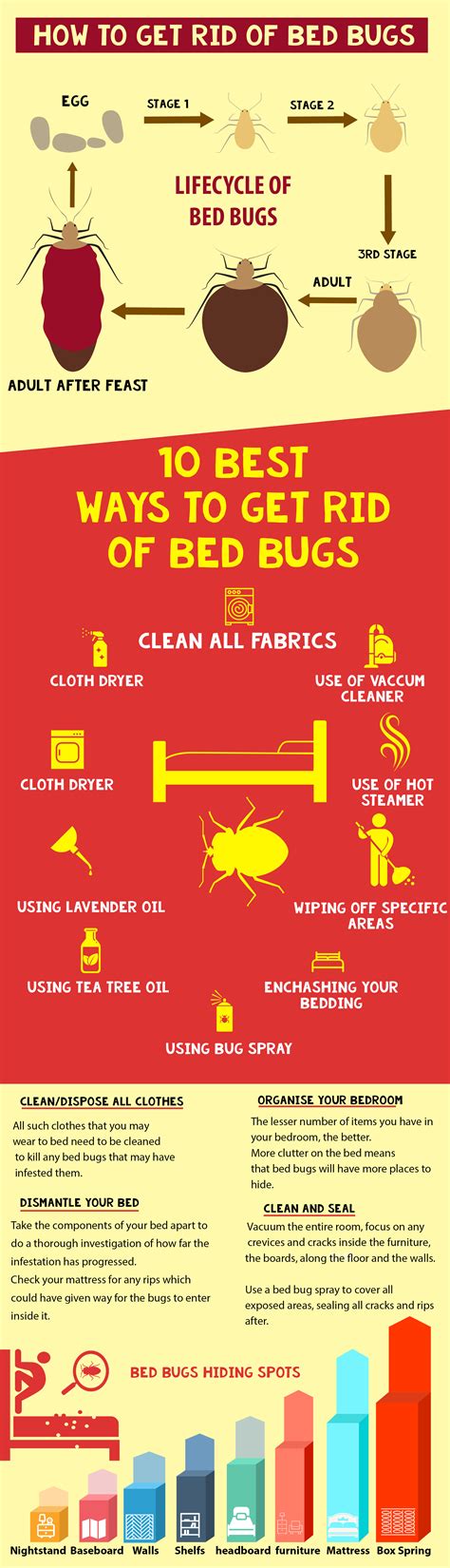 How To Get Rid Of Bed Bugs Spots Free Info For Bed Bugs
